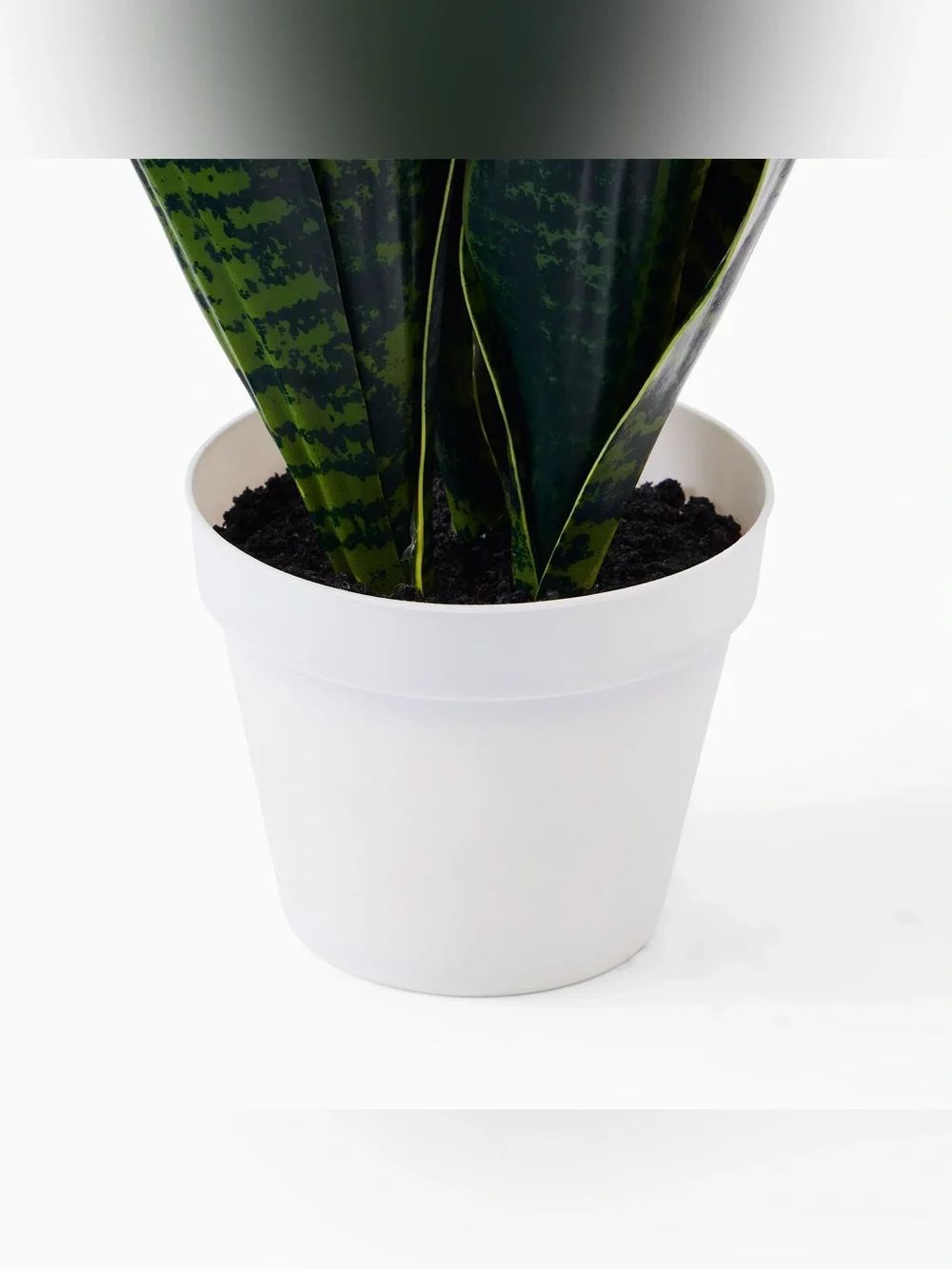 Brand New West Elm 15-Inch Faux Potted Snake Plant, NWT